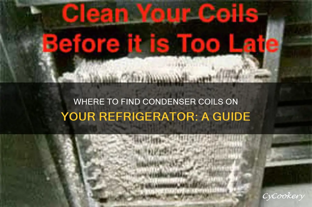 where are condenser coils on a refrigerator