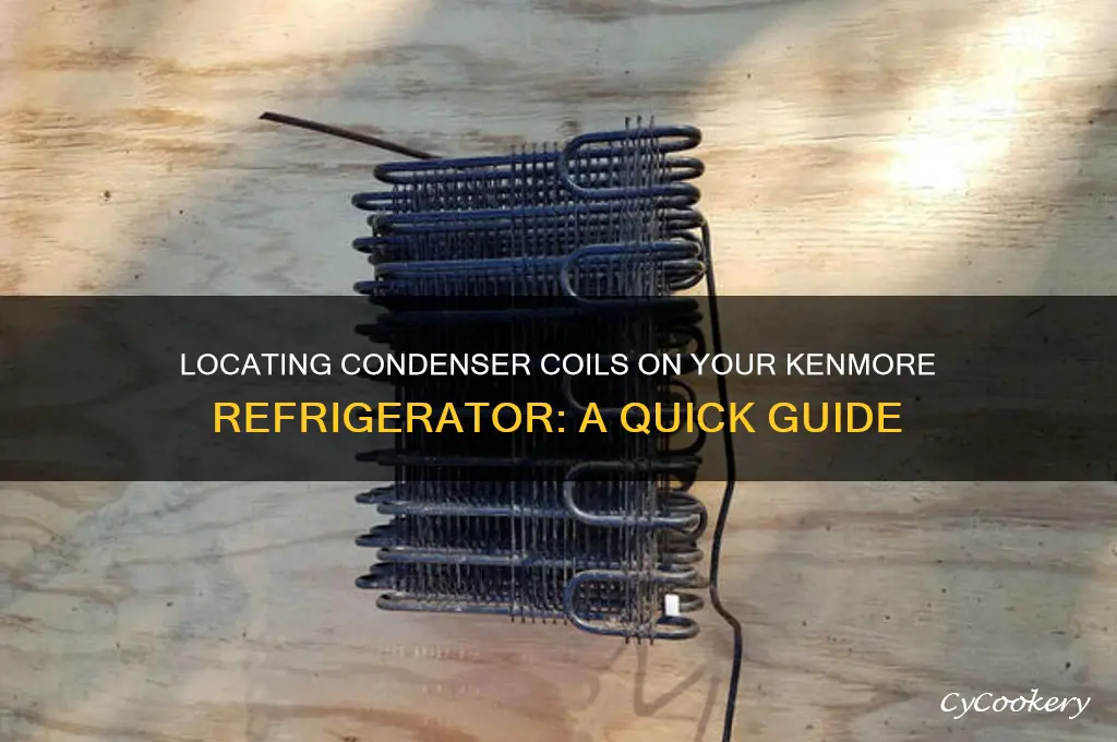 where are condenser coils on kenmore refrigerator