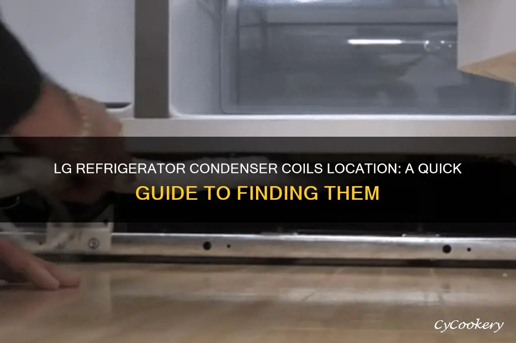 where are condenser coils on lg refrigerator