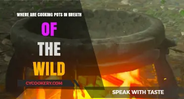 Finding Cooking Pots in Breath of the Wild: A Comprehensive Guide