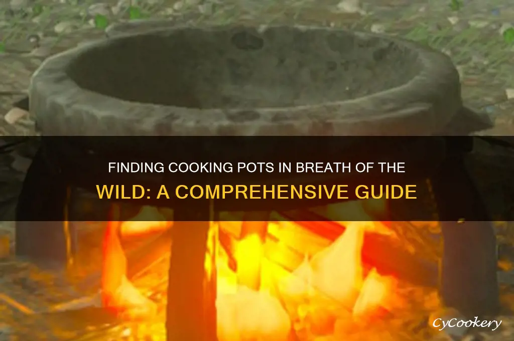 where are cooking pots in breath of the wild