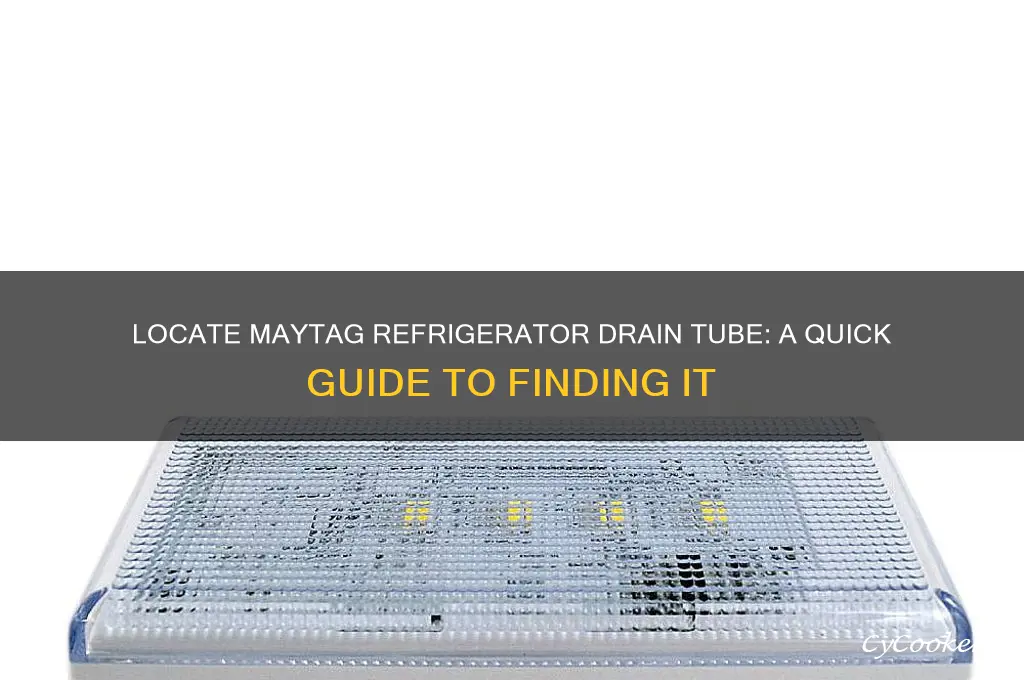 where are drain tube on maytag refrigerator