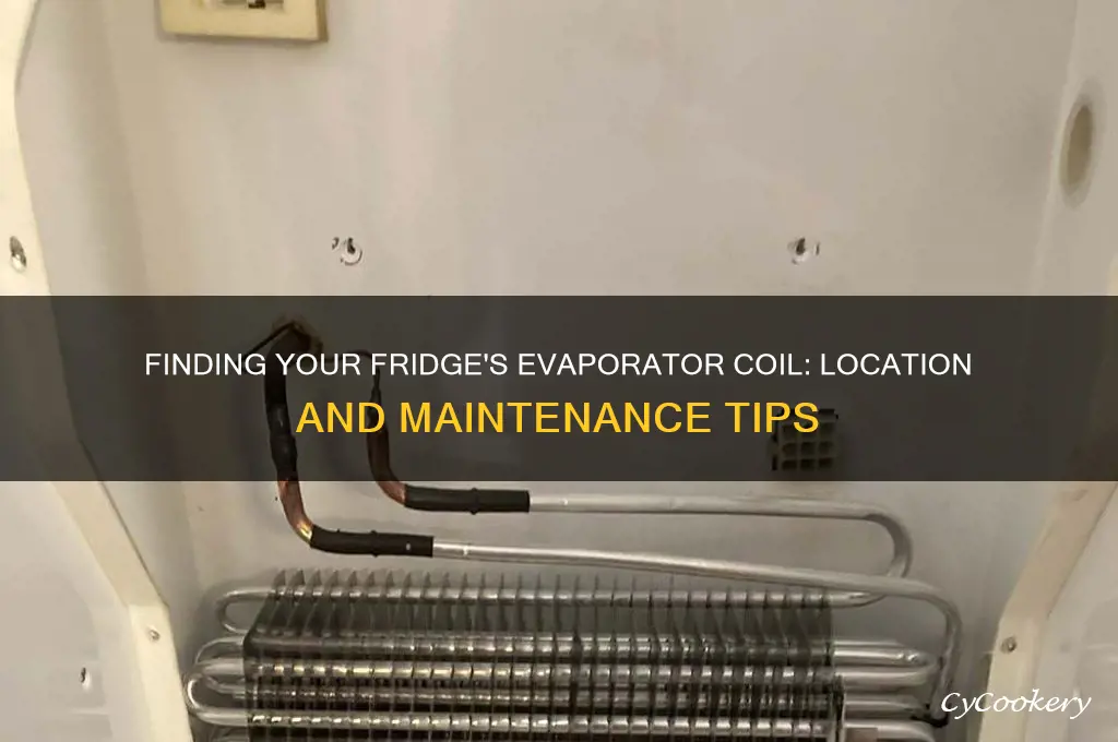 where are evaporator coil located in refrigerator