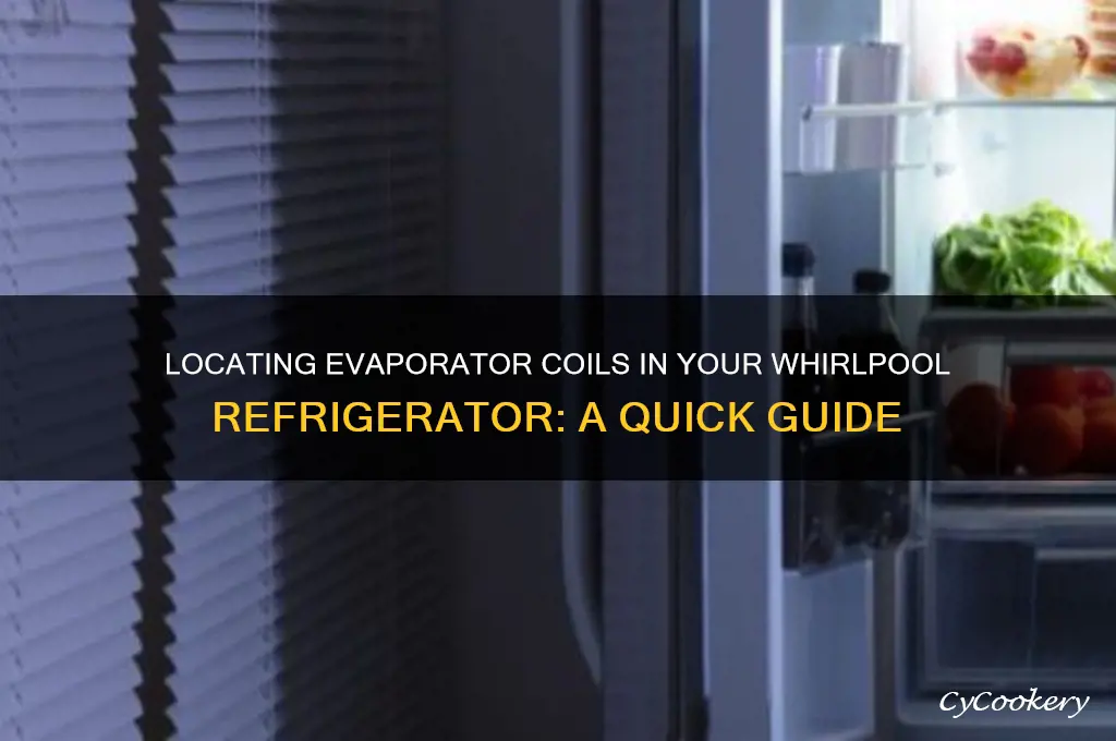 where are evaporator coils in whirlpool refrigerator