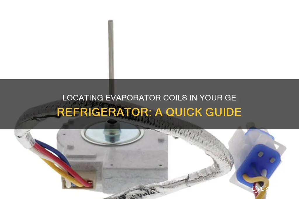 where are evaporator coils on ge refrigerator