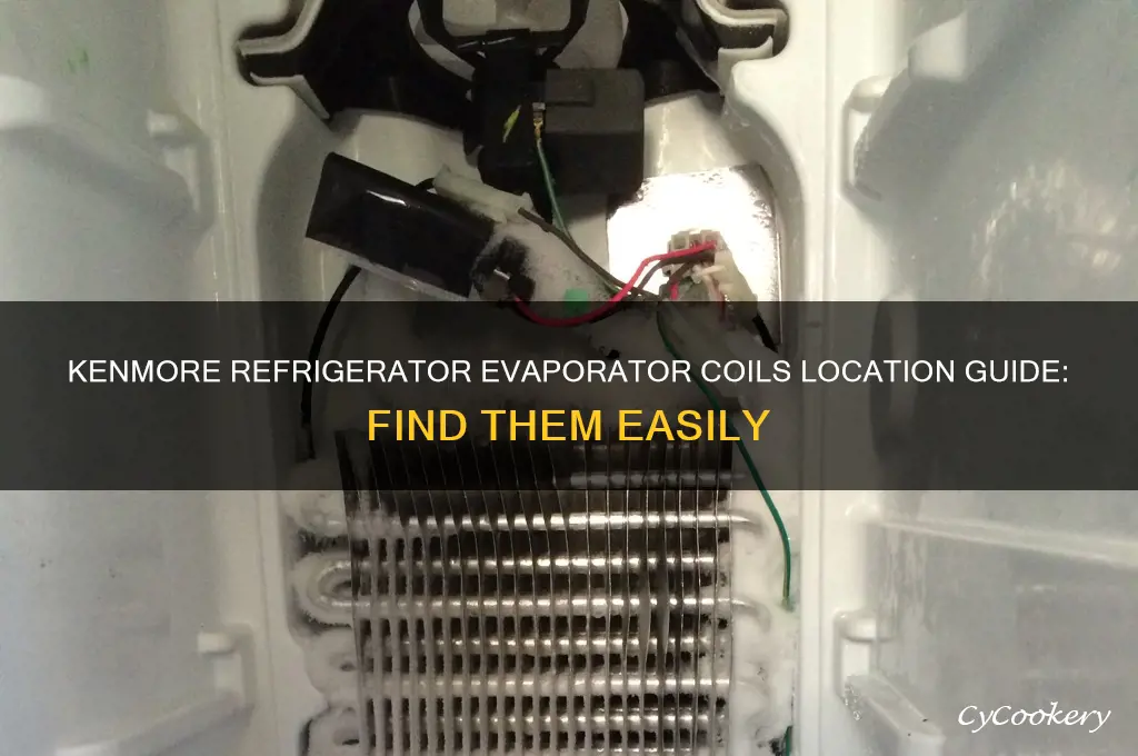 where are evaporator coils on kenmore refrigerator