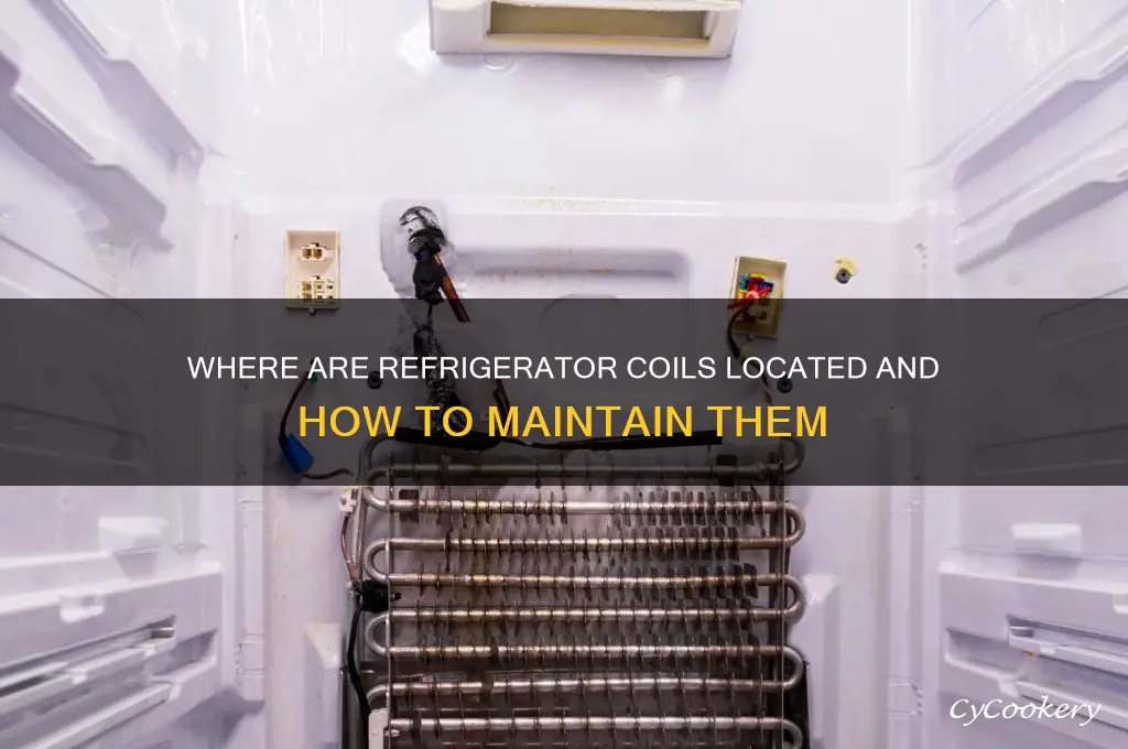 where are the coils in a refrigerator
