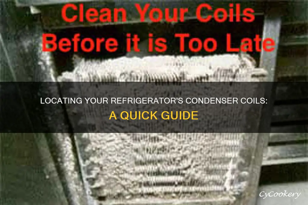 where are the condenser coils on a refrigerator