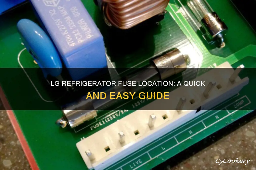 where are the fuses on lg refrigerator