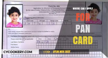 Apply for a PAN Card: Easy Application Steps