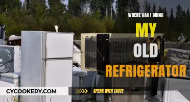 Eco-Friendly Disposal: Where to Take Your Old Refrigerator