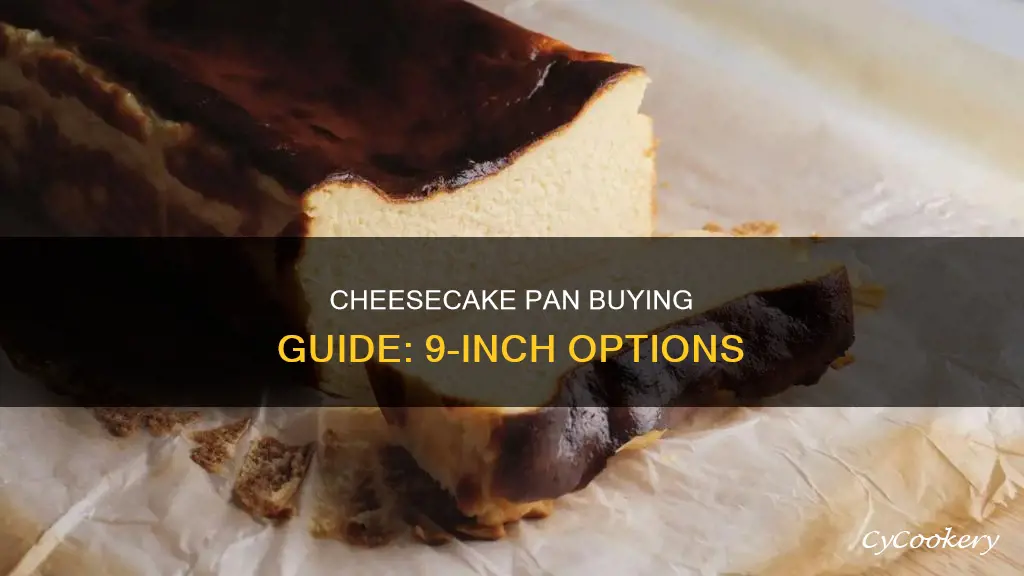 where can I buy a 9 inch cheesecake pan