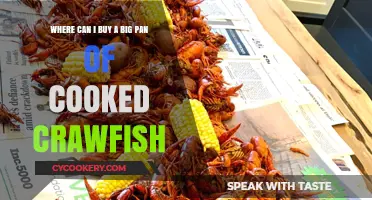 Crawfish for the Crowd: Where to Buy in Bulk