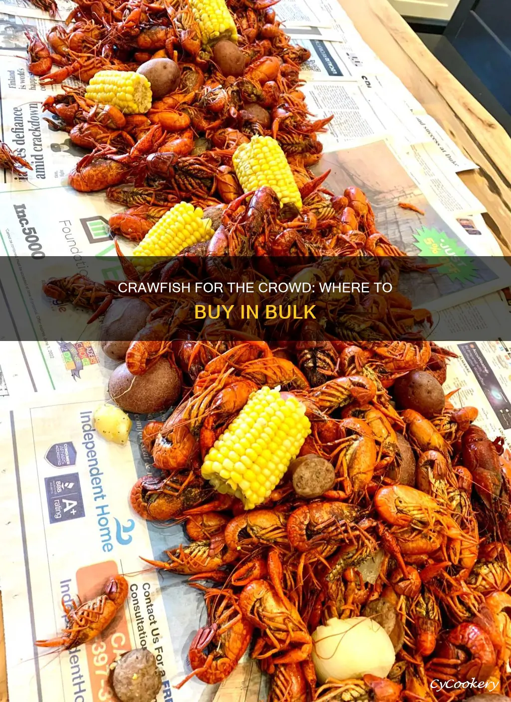 where can I buy a big pan of cooked crawfish