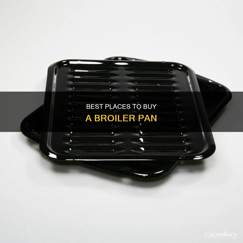 where can I buy a broiler pan