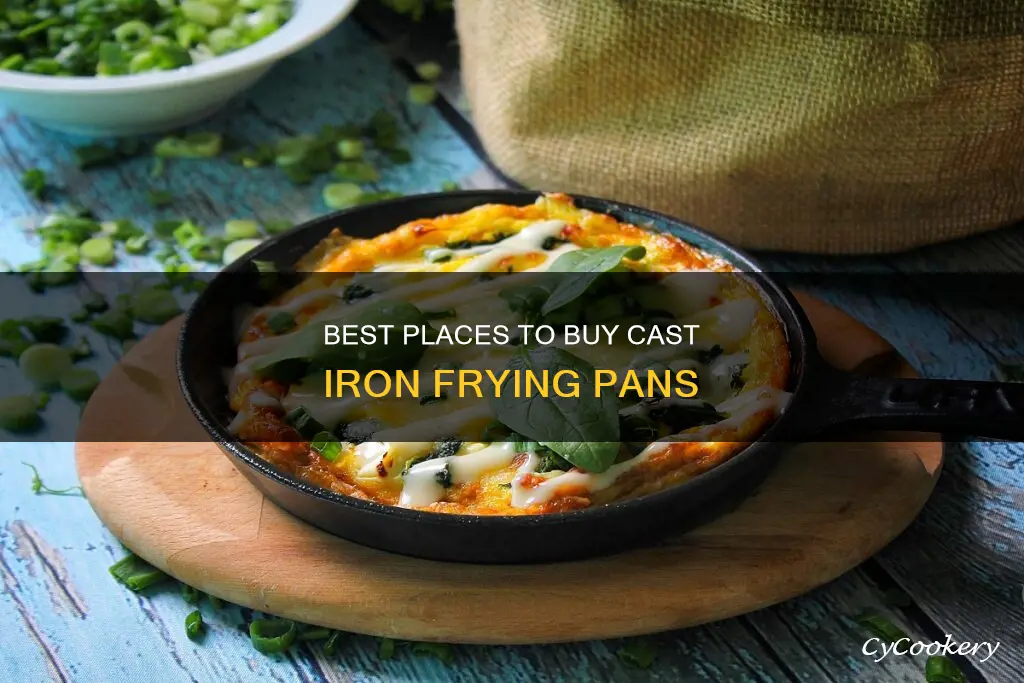 where can I buy a cast iron fry pan