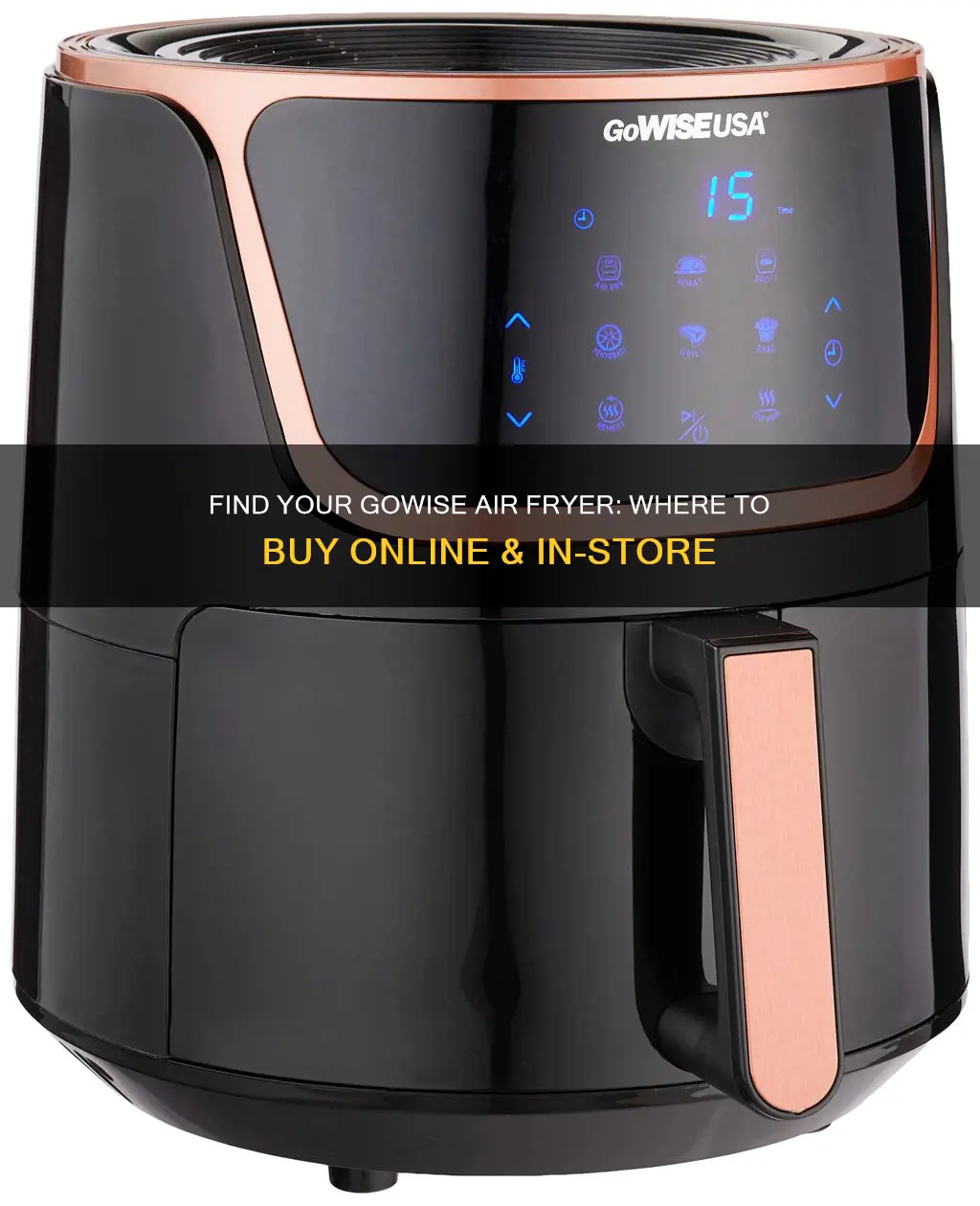 where can i buy a gowise air fryer