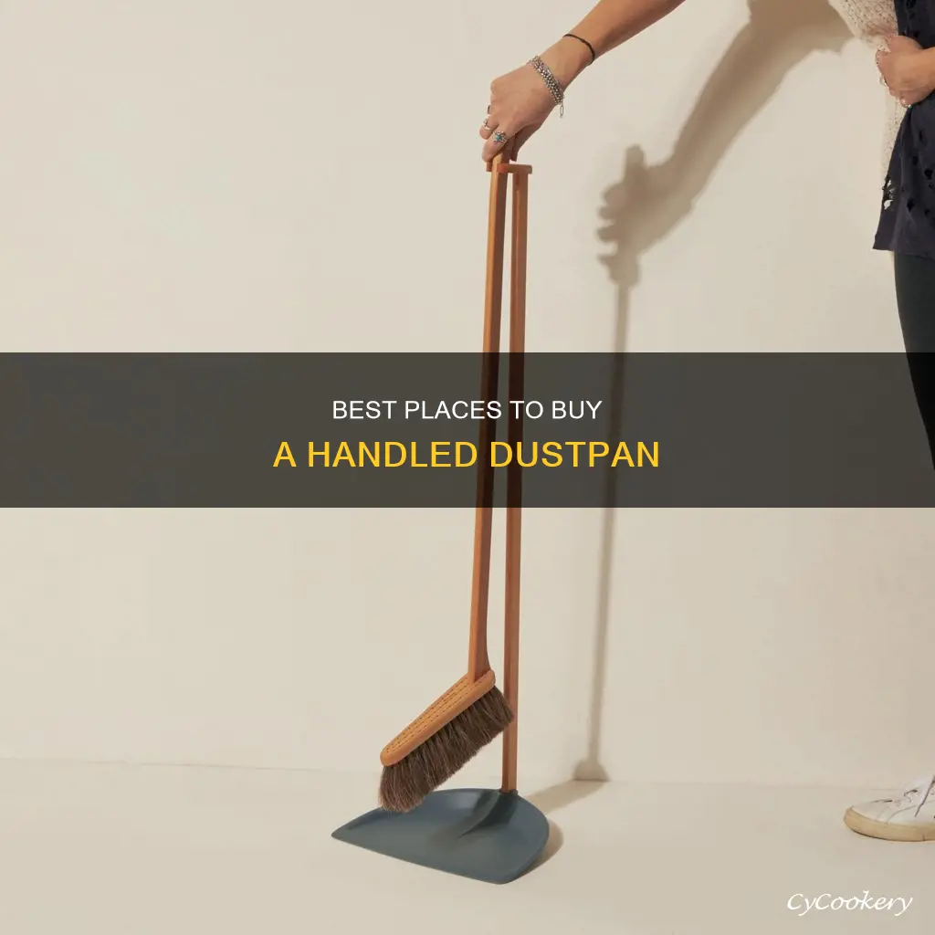 where can I buy a handled dust pan
