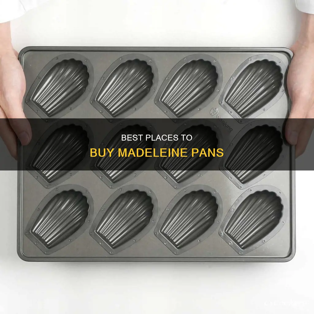 where can I buy a madeleine pan