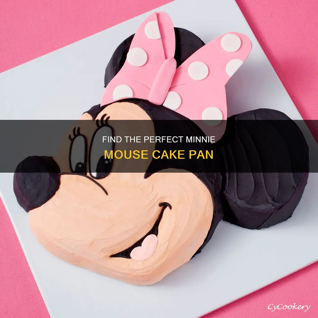 where can I buy a minnie mouse cake pan