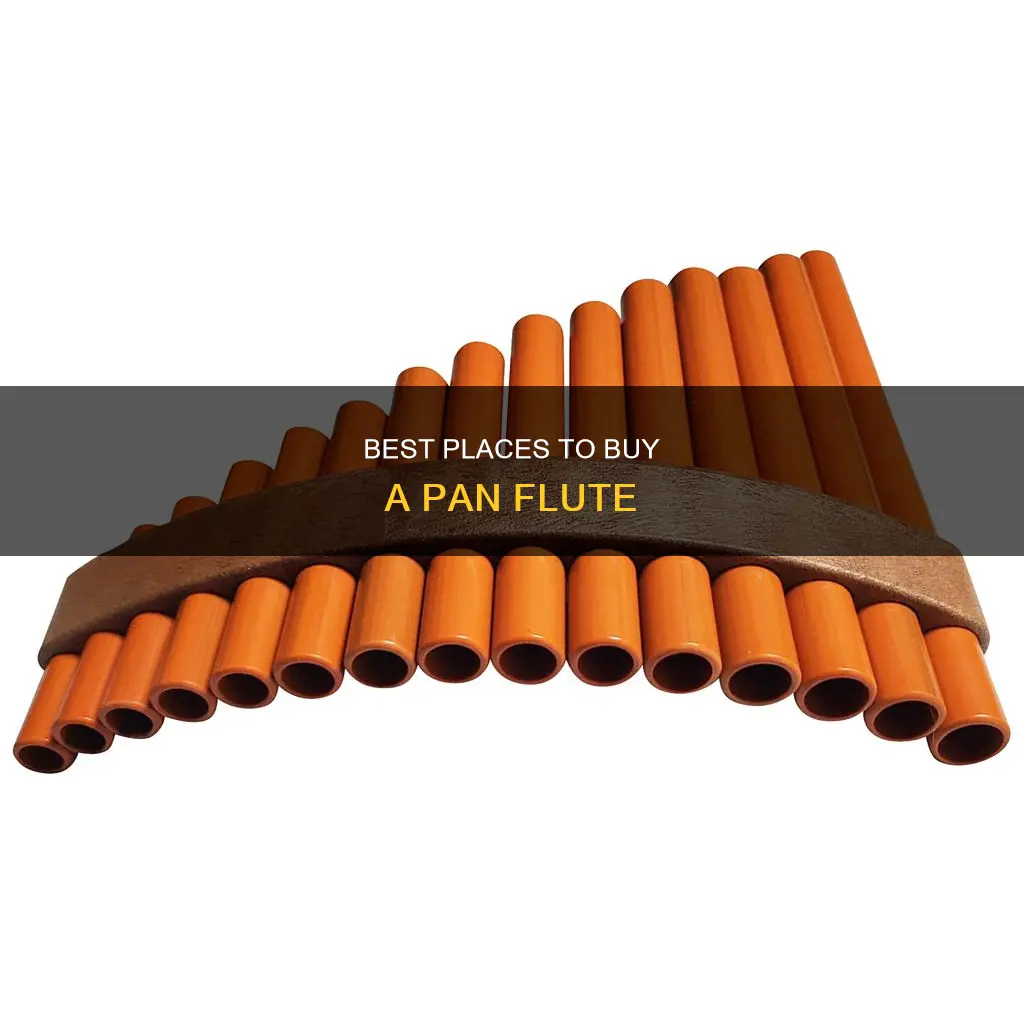 where can I buy a pan flute