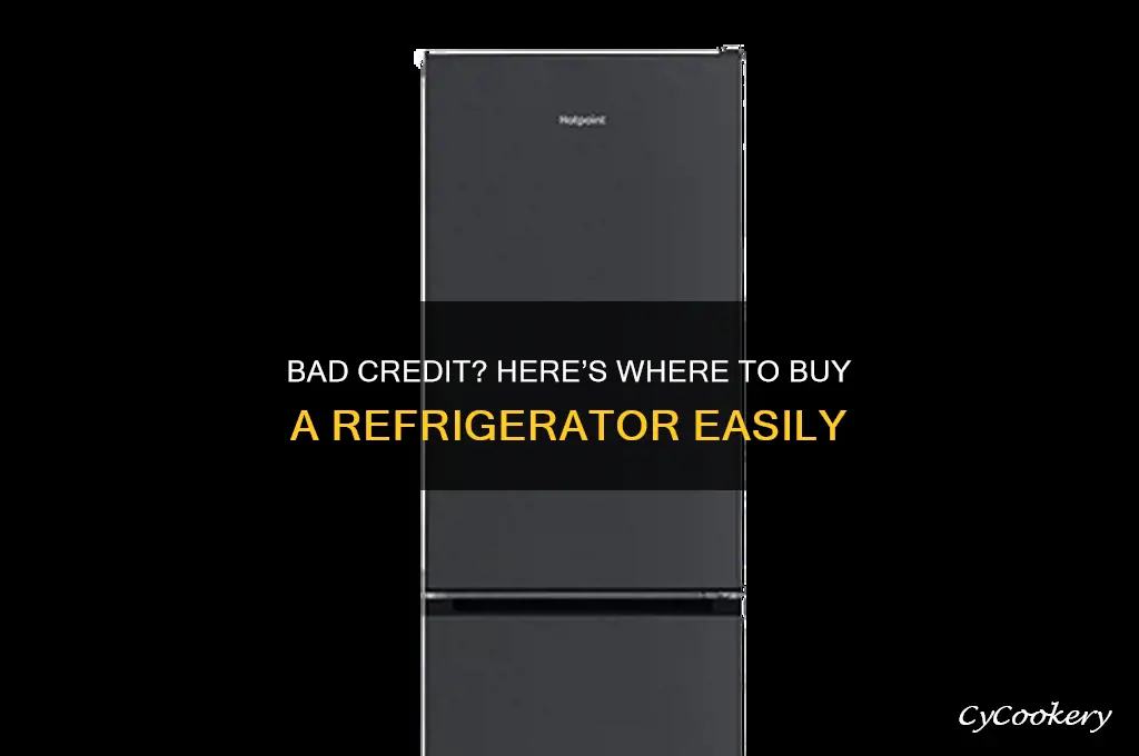 where can i buy a refrigerator with bad credit