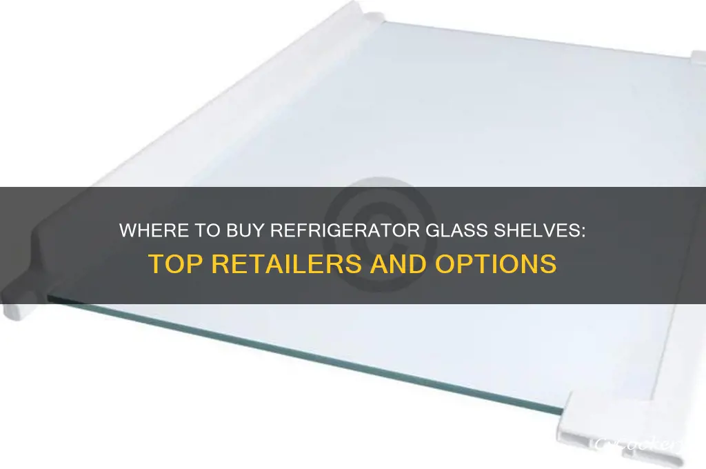 where can i buy a shelf for refrigerator glass