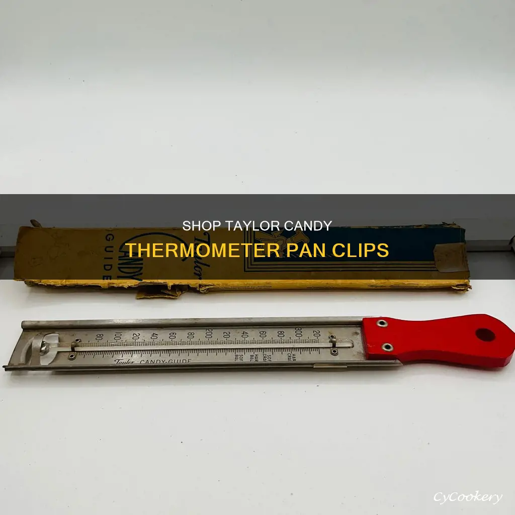 where can I buy a taylor candy thermometer pan clip