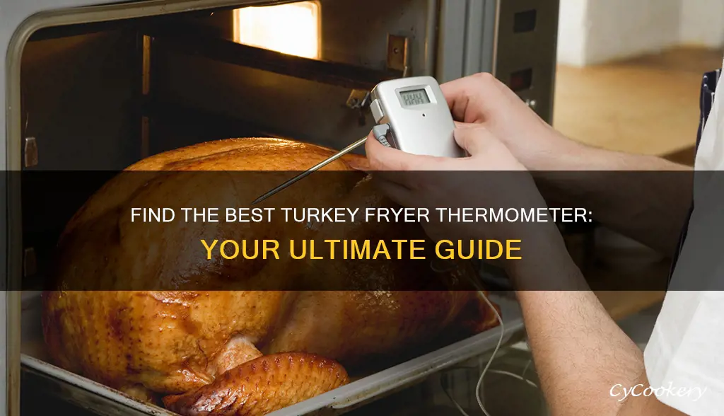 where can i buy a turkey fryer thermometer