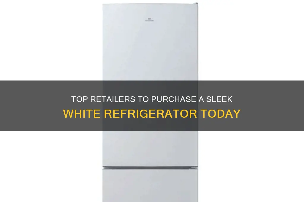 where can i buy a white refrigerator