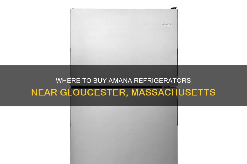 where can i buy amana refrigerators near gloucester massachusetts