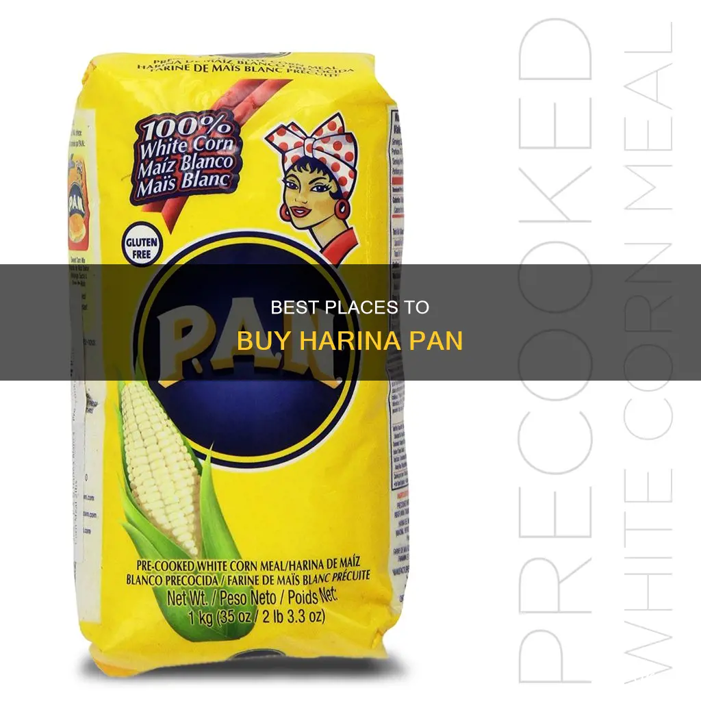 where can I buy harina pan