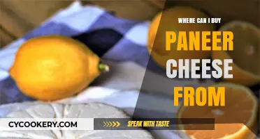 Best Places to Buy Fresh Paneer Cheese