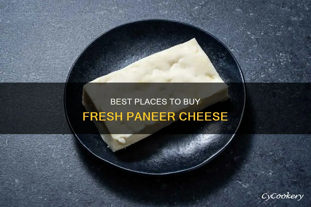 where can I buy paneer cheese from