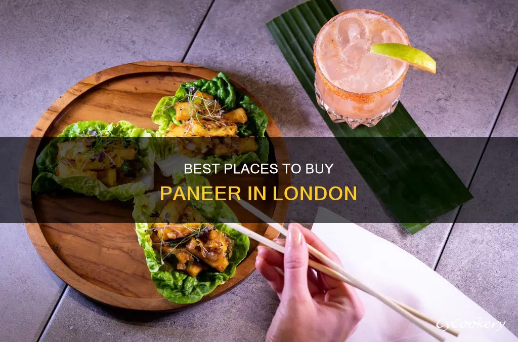 where can I buy paneer in london