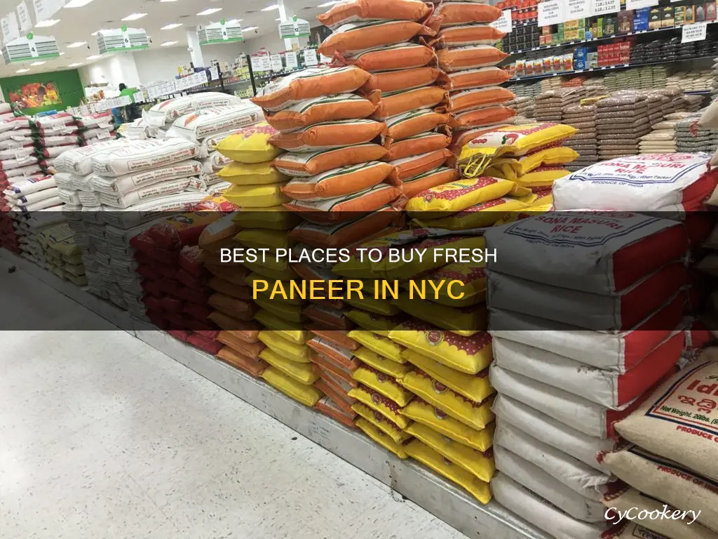 where can I buy paneer in nyc