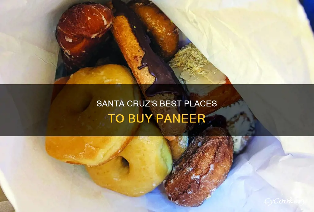where can I buy paneer in santa criz
