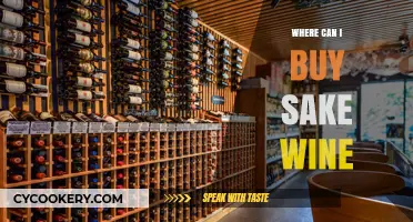 Discover Top Sake Wine Retailers: Where to Buy Authentic Sake Online & In-Store