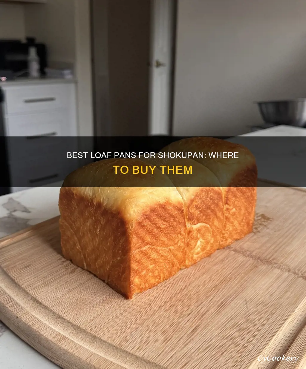 where can I buy shokupan loaf pan
