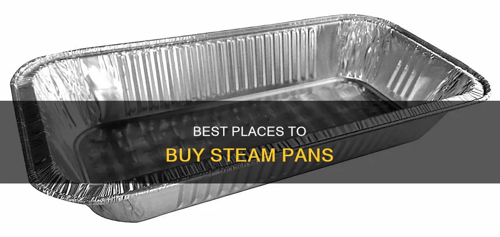 where can I buy steam pan