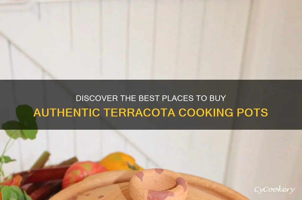 where can I buy teracota cooking pots