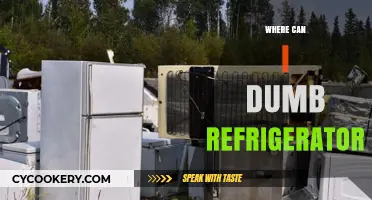 Eco-Friendly Disposal: Where to Dump Your Old Refrigerator Safely