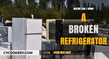 Eco-Friendly Disposal: Where to Dump Your Broken Refrigerator Safely