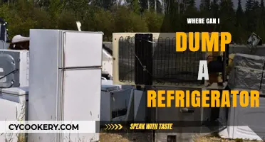 Eco-Friendly Ways to Dispose of Your Old Refrigerator Responsibly