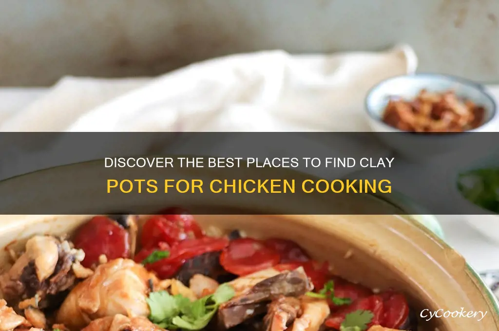 where can I find a clay pot to cook chicken