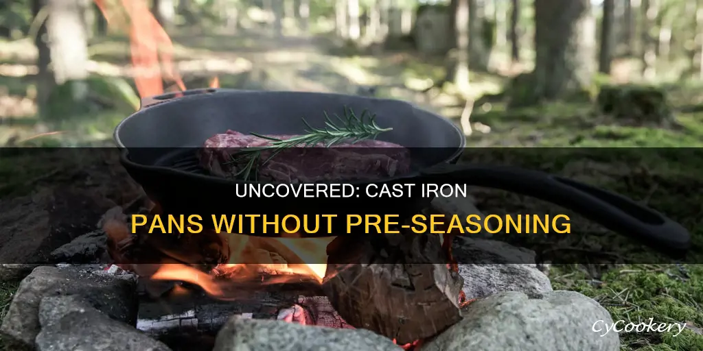 where can I find cast iron pan that isnt preseasomed
