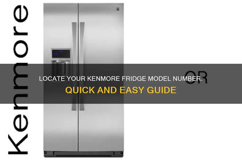 where can i find my kenmore refrigerator model number