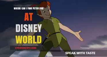 Finding Peter Pan at Disney World
