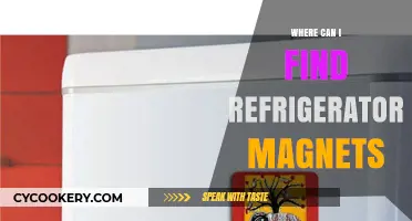 Discover Unique Refrigerator Magnets: Top Places to Find Them