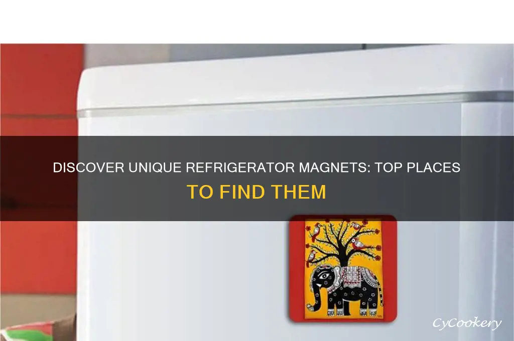 where can i find refrigerator magnets